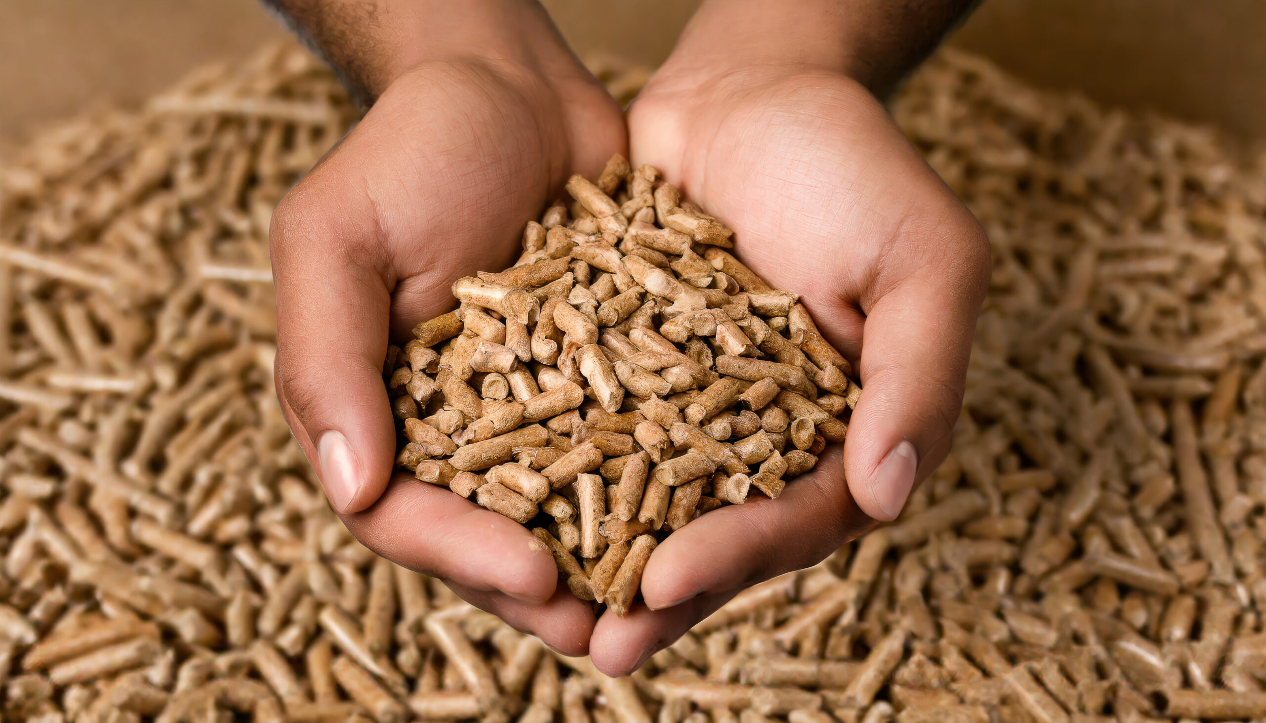 Nature's Grasp: Biomass Bounty in a Gentle Hand